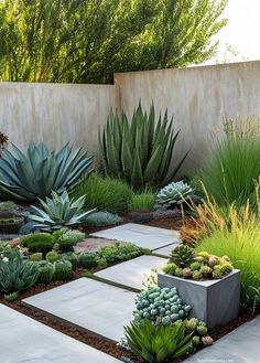 a very nice looking garden with lots of plants