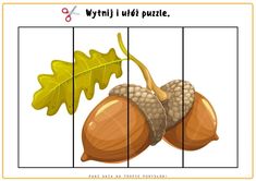 an image of a puzzle game with acorns