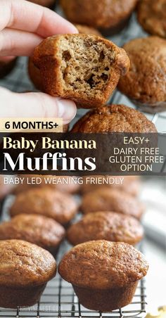 Baby Banana Muffins Baby Friendly Banana Muffins, Easy Baby Muffin Recipe, Baby Led Weaning Muffins Healthy, Kids Banana Muffins, Banana Muffins For Babies, Healthy Muffins For Babies, Blw Banana Muffins