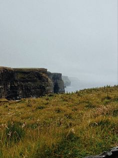 a sheep standing on top of a lush green hillside next to the ocean with cliffs in the background