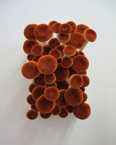 an arrangement of small orange objects on a white surface