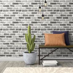 a living room with a brick wall and potted cactus on the floor next to it