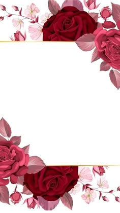 red roses with pink leaves and white background