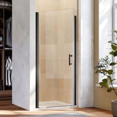 a corner shower stall in a bathroom next to a potted plant