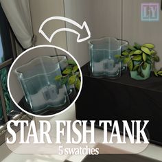 the star fish tank is filled with water and plants