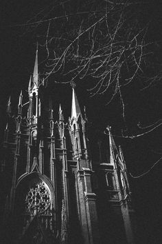 an old cathedral lit up at night with no leaves on the tree branches in black and white