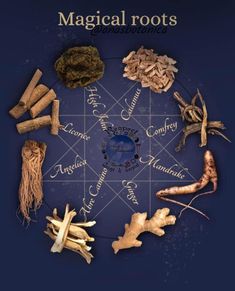 the wheel of herbs is surrounded by different types of roots