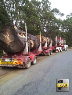 a semi truck hauling logs down the road in front of some trees on both sides