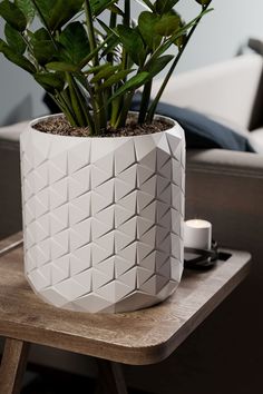 a potted plant sitting on top of a wooden table next to a white couch