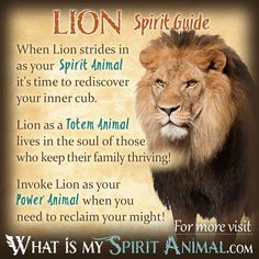 the lion spirit guide with an image of it's face and words on it