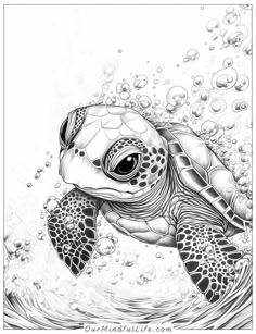 a black and white drawing of a sea turtle swimming in the ocean with bubbles around it