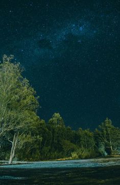 the night sky is filled with stars and trees