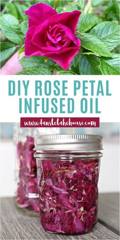 Make your own rose petal infused oil with fresh roses from the garden or dried rose petals. Homemade rose petal oil can be used in DIY skin care or DIY lip balms. Check out the tutorial to find the recipe for DIY rose petal infused skin salve and DIY rose petal infused skin salve. DIY rose petal skin salve and DIY rose petal lip balm are both super hydrating and really easy to make! Rose Oil Diy, Rose Skin Care, Flower Infused Oil, Infused Oil Recipes, Rose Petal Uses, Fresh Rose Petals, Rose Lip Balm, How To Make Rose, Diy Beauty Treatments