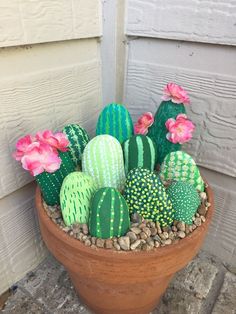 a potted plant filled with lots of green and pink cactus