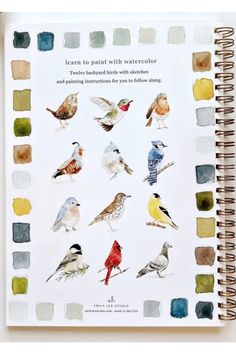 a book with birds painted on it and the words learn to paint with watercolor