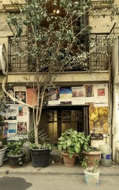 there are many potted plants in front of the building