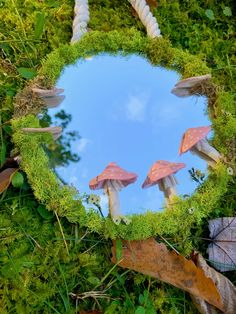 the reflection of three mushrooms in a mirror surrounded by green grass and leaves is shown