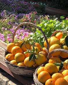 Olympia on Instagram: “Think I’m thirsty 🍹#thingsandthoughtsgr #oranges #orangejuice #crete #eathealthy #delicious #theauthentictaste #imthirsty #summer2019…” Orange Juice, Crete, Picnic Basket, Decorative Wicker Basket, Healthy Eating, Fruit, Instagram