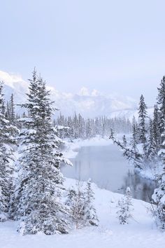 the snow covered trees are next to the lake and mountains in the distance, with one person on skis