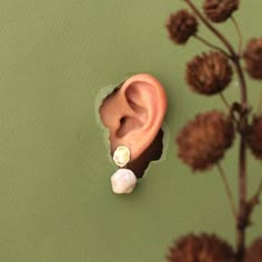 a pair of ear plugs sitting on top of a green wall next to a plant