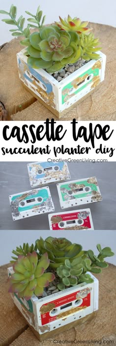 an old cassette tape planter is transformed into a succulent planter diy