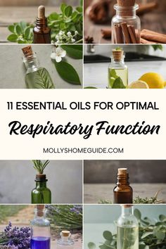 Explore the power of essential oils for respiratory support with these top suggestions. From rosemary oil to antiviral blends, discover natural remedies to promote respiratory health. Whether you're looking to boost your immune system or find relief from bronchitis, these essential oils for lungs are a great addition to your routine. Try creating diffuser blend recipes using 5 key essential oils known for their respiratory benefits. Enhance your wellness journey with the best essential oils for Diffuser Blend, Respiratory Health, Rosemary Oil, Wellness Journey, Best Essential Oils, Diffuser Blends, Lungs, Respiratory, Self Care Routine