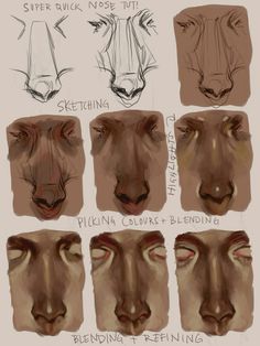 some different types of facial expressions for the face and nose, with various angles to show them