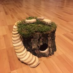 a piece of art made out of wood and rocks with moss growing on top of it