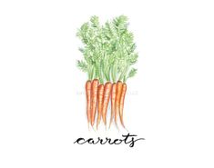 carrots with the words carrots written on them