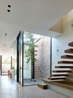 Small Courtyard Gardens, Courtyard Gardens Design, Internal Courtyard, Small Courtyards, Courtyard Garden, Stairs Design