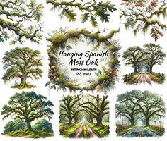 the hanging spanish forest clipart set includes trees, bushes and other plants with moss growing on them