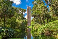 a tall tower towering over a river surrounded by lush green trees and palm trees on both sides