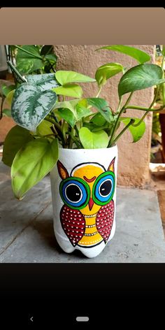 a potted plant with an owl painted on it