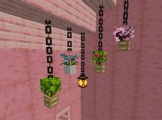 some plants are hanging from the ceiling in a room with pink walls and black chains