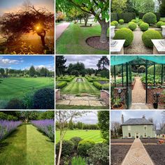 several pictures of different gardens and trees in the same photo, one has a green lawn