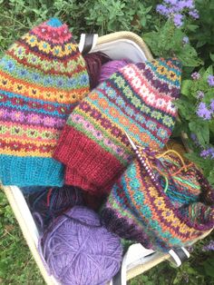 several knitted hats in a basket on the ground next to some purple and green flowers