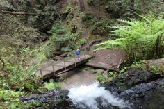 The first thing you'll notice about this stunning state park is the variety of landscapes it contains. Boasting a leafy canyon surrounded by a rocky coastline, endless beaches, and windswept headlands, the natural beauty here is definitely abundant! Northern California Road Trip, Adventure Style