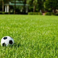 a soccer ball sitting on top of a lush green field