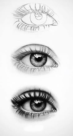 three different types of eyes are shown in this drawing