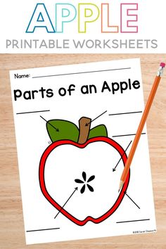 an apple worksheet with the words parts of an apple in front of it