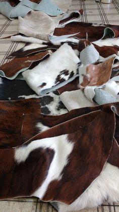 several cow hides laid out on the floor