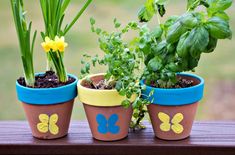 three flower pots with plants in them sitting on a wooden table next to each other