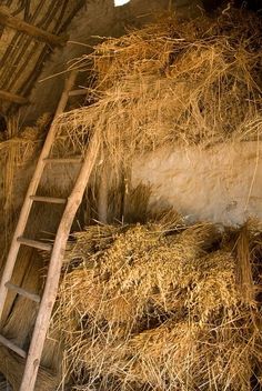 an old barn with hay stacked on top of it and a ladder leading up to the roof