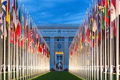 an image of flags lined up in front of a building