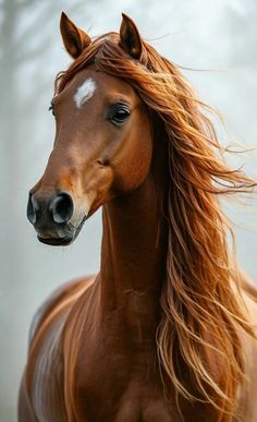 a brown horse with long hair standing in front of trees