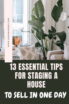 a living room with a couch, chair and large green plant in the corner that says 13 essential tips for staging a house to sell in one day