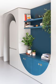 a blue and white shelf with plants on it next to a wall mounted bookcase