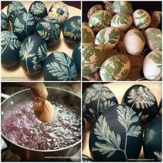 an assortment of painted eggs in various stages of being washed and dyed with dyes