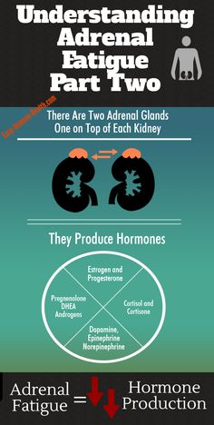 Understanding adrenal fatigue part 2. Hormone production: http://www.easy-immune-health.com/adrenal-gland-fatigue.html Adrenal Diet, Symptoms Of Adrenal Fatigue, Chronic Fatigue Remedies, Adrenal Fatigue Recovery, Adrenal Gland, Adrenal Fatigue Symptoms, Chronic Fatigue Symptoms, Addisons Disease, Adrenal Support