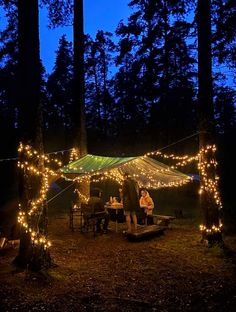 some people are sitting at a table in the woods with lights strung around them and trees